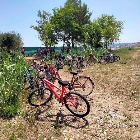 B&B Il Battocchio Lanciano Bagian luar foto
